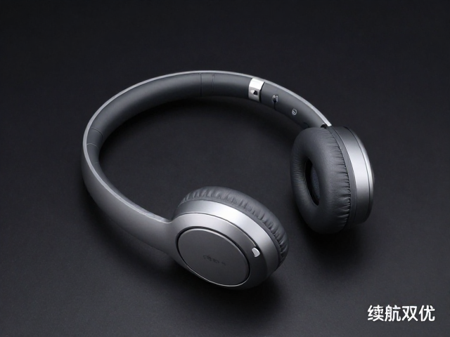 无线长续航颈挂耳机推荐，蓝牙5.0，大尺寸驱动单元，音质续航双优