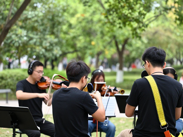 公园器乐合奏实录，防滑背带下的自然环境采样与现场收音技巧