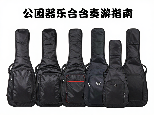 公园器乐合奏装备,便携乐器箱选购与防潮箱存储指南