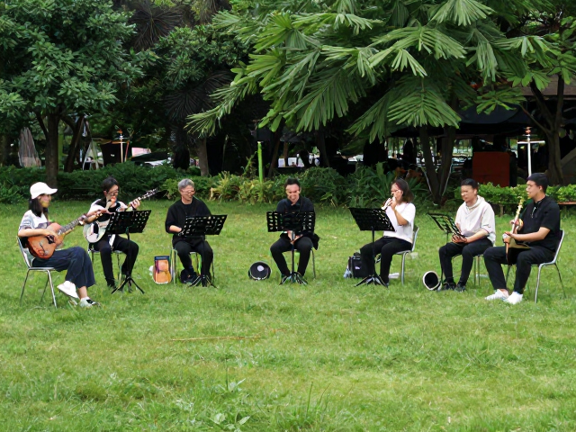 公园器乐合奏声场覆盖技巧,打造草地音乐节沉浸式体验