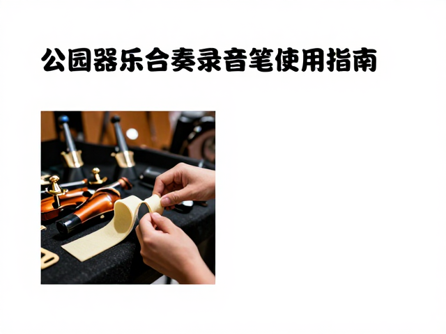 公园器乐合奏录音笔使用指南,防水胶条清洁与保养技巧