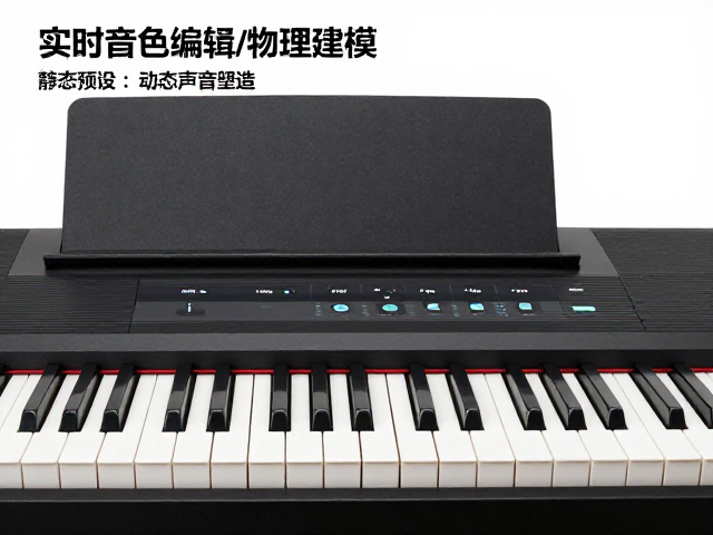 电钢琴用户必看,实时音色编辑与物理建模如何重塑演奏体验