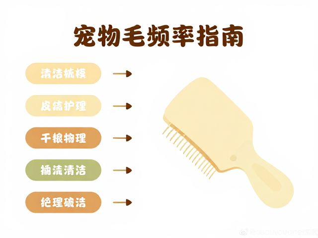 乳色宠物梳毛频率指南,颜色分类下的护理与清洁技巧