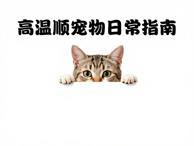 猫咪爱玩捉迷藏需情绪管理?高温顺宠物日常指南
