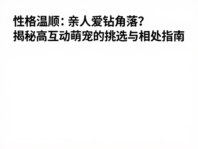 性格温顺亲人爱钻角落?揭秘高互动萌宠的挑选与相处指南