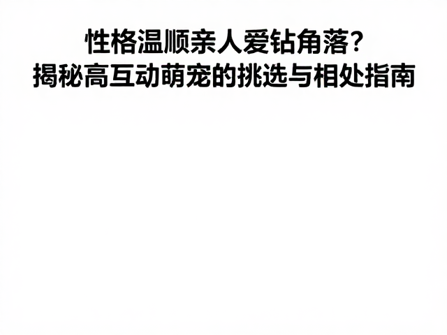 性格温顺亲人爱钻角落?揭秘高互动萌宠的挑选与相处指南