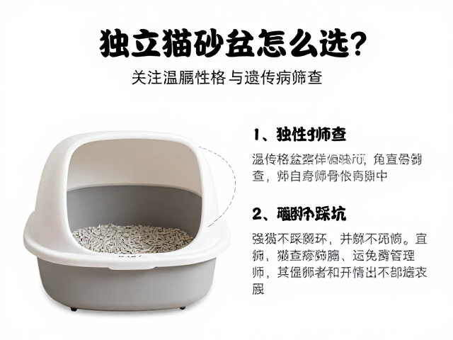 独立猫砂盆怎么选?关注温顺性格与遗传病筛查,养猫不踩坑