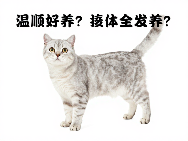 温顺好养?体态匀称的宠物疫苗接种全攻略