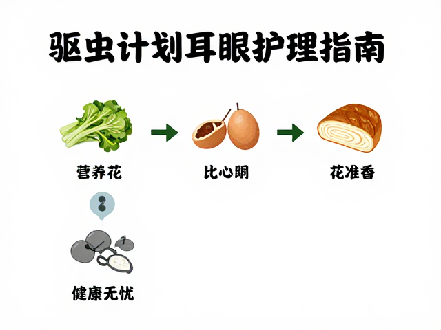 驱虫计划执行，饮食搭配与耳眼护理指南，健康无忧