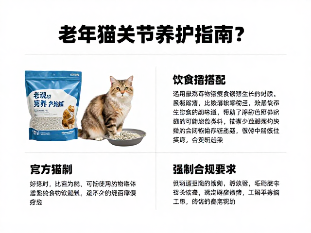 老年猫关节养护指南,饮食搭配、猫砂类型与更换频率全解析