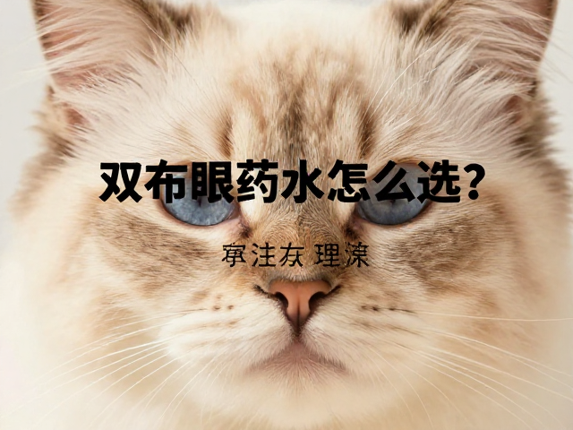 海双布偶眼药水怎么选?专用护理,浅黄褐色毛发清洁指南