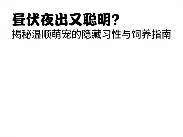 昼伏夜出又聪明?揭秘温顺萌宠的隐藏习性与饲养指南