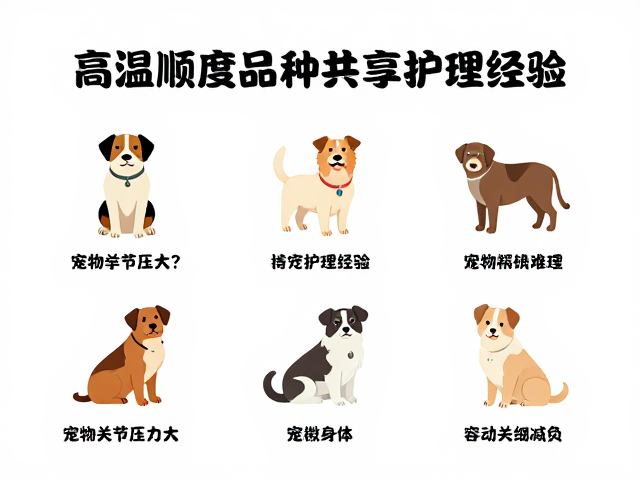 宠物关节压力大?高温顺度品种共享护理经验,轻松减负