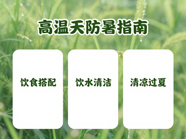 高温天防暑指南,饮食搭配,饮水清洁,清凉过夏