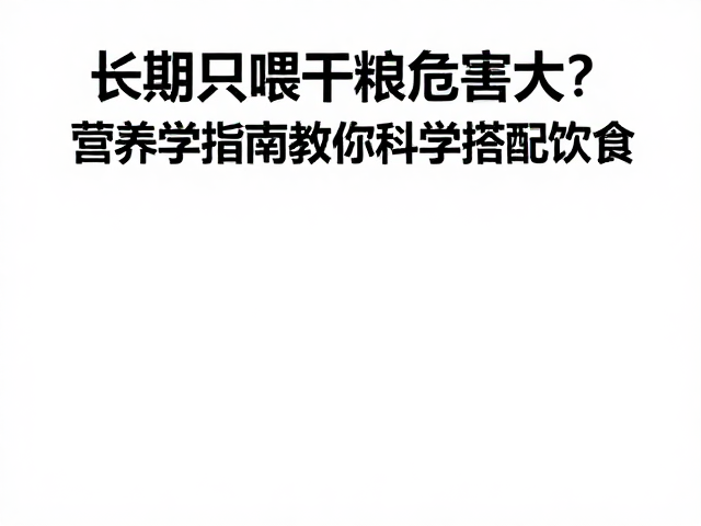 长期只喂干粮危害大?营养学指南教你科学搭配饮食