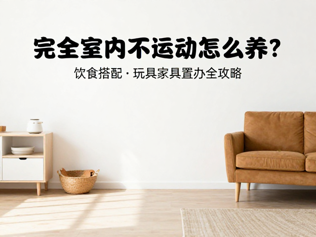 完全室内不运动怎么养?饮食搭配,玩具家具置办全攻略