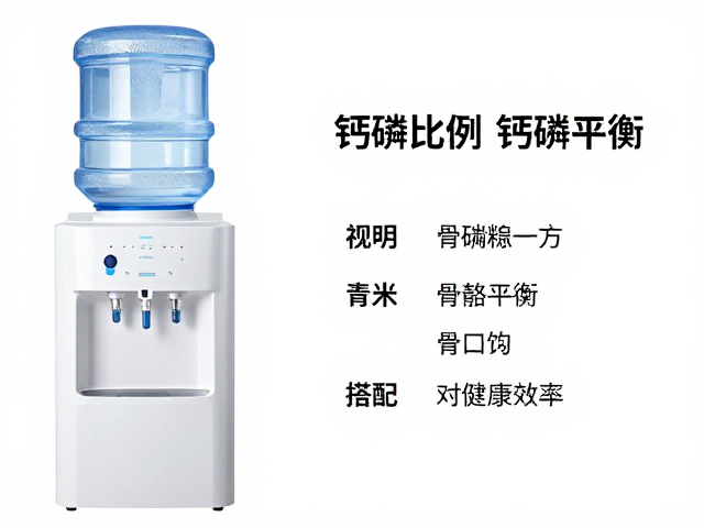 饮水机过滤清洁与钙磷平衡,饮食搭配提升健康效率