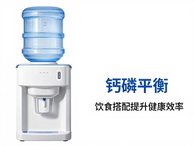 饮水机过滤清洁与钙磷平衡,饮食搭配提升健康效率