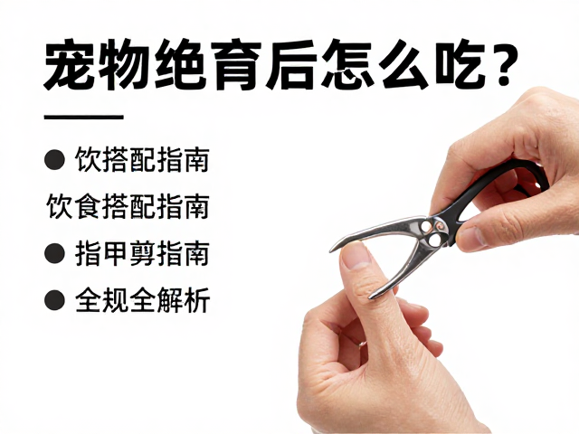 宠物绝育后怎么吃?饮食搭配指南,指甲剪护理全解析