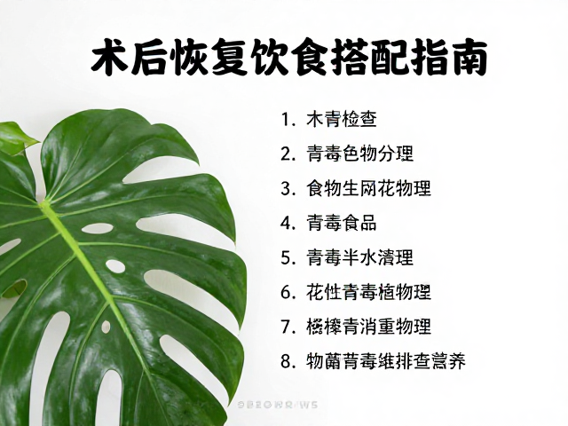 术后恢复饮食搭配指南,居家绿植与有毒物品排查清单
