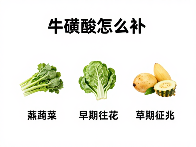 牛磺酸怎么补？搭配饮食远离早期征兆，守护常见疾病