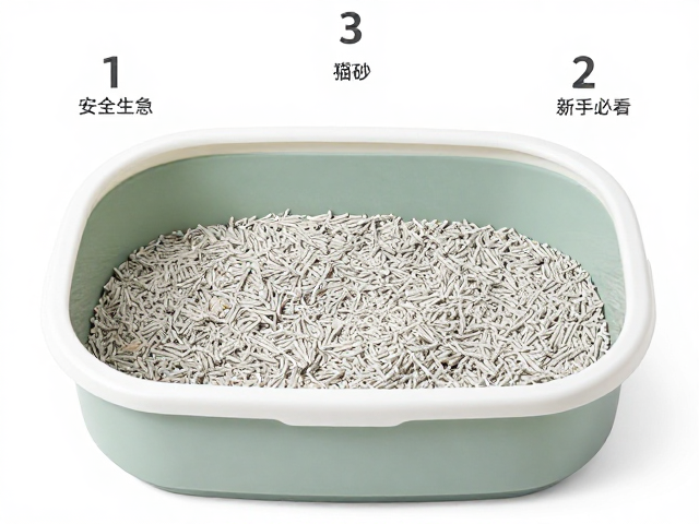 猫砂盆训练与饮食搭配,3步建立猫咪安全感,新手必看