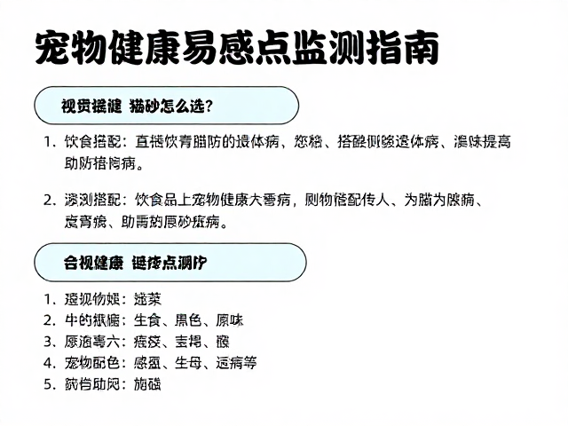 猫砂怎么选?饮食搭配助防遗传病,宠物健康易感点监测指南
