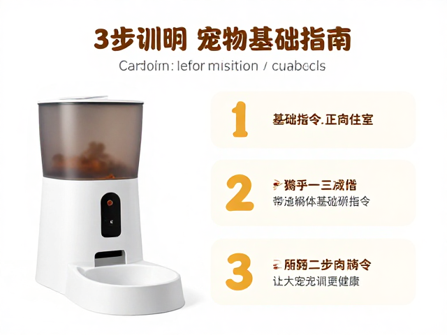 自动喂食器搭配饮食指南,3步训练基础指令,让宠物更健康
