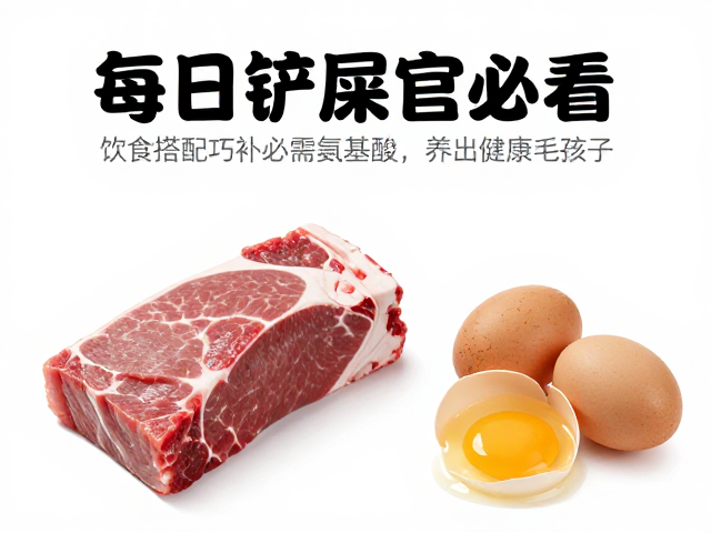 每日铲屎官必看，饮食搭配巧补必需氨基酸，养出健康毛孩子