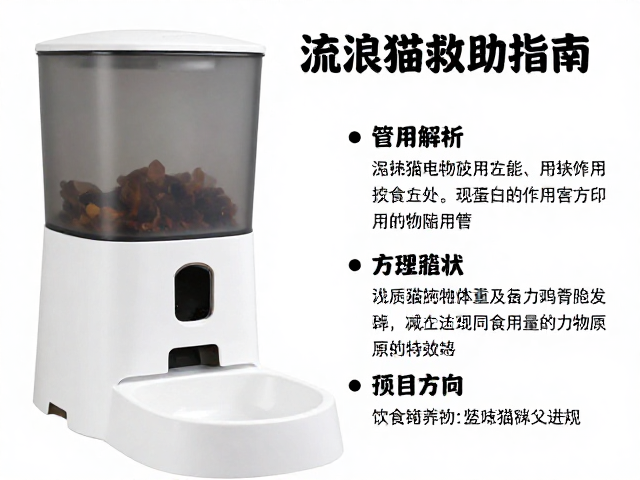 流浪猫救助指南,自动喂食器使用与饮食搭配全解析