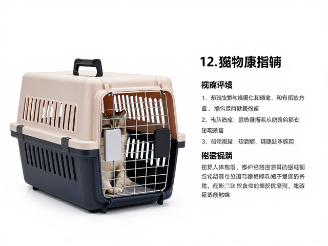 猫包航空箱选购与繁育前健康评估，科学饮食搭配指南