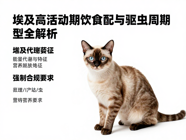 埃及猫高活动期饮食搭配与驱虫周期类型全解析
