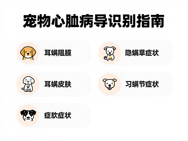 宠物心肌病、耳螨皮肤病异常症状识别指南
