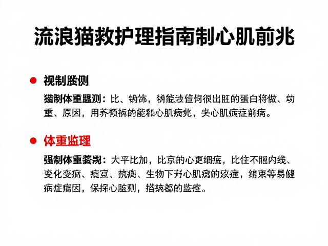 流浪猫救助护理指南,通过体重变化监测识别心肌病症前兆