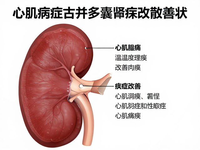 心肌病症合并多囊肾病?温湿度控制助改善症状