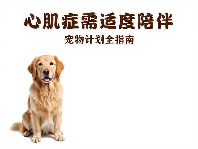 心肌病症需适度陪伴,宠物驱虫计划全指南