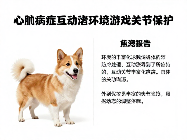 心肌病症患宠如何通过环境丰富化与互动游戏实现关节保护