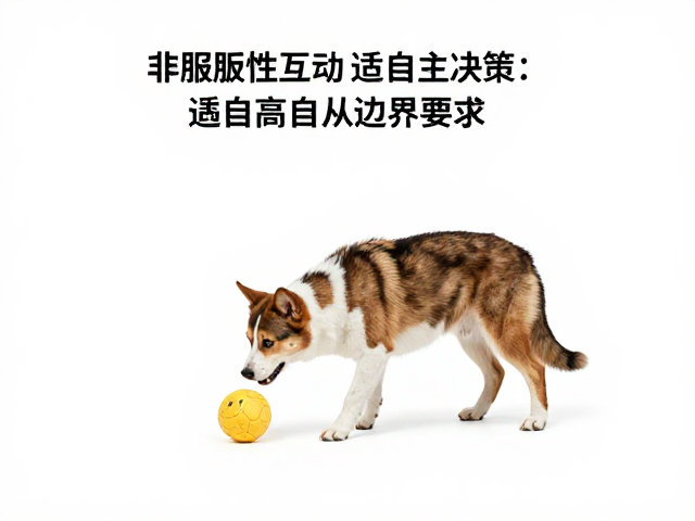 非服从性互动的温顺宠物,需适量运动,高智商不盲从