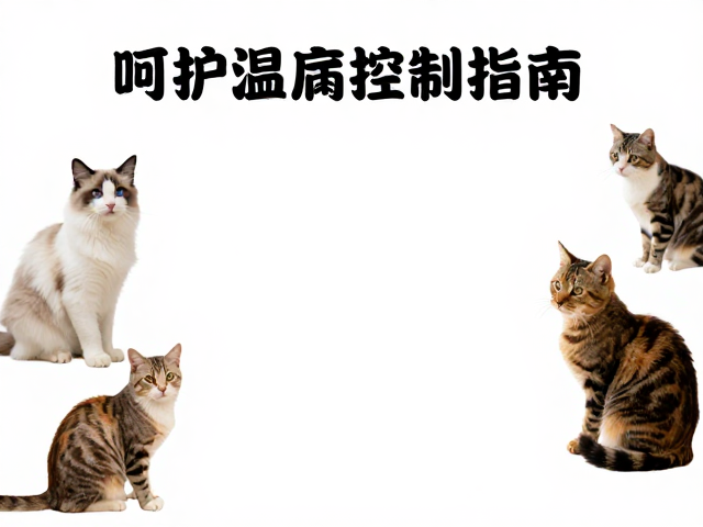 多猫家庭温湿度控制指南,呵护心肌病猫咪健康