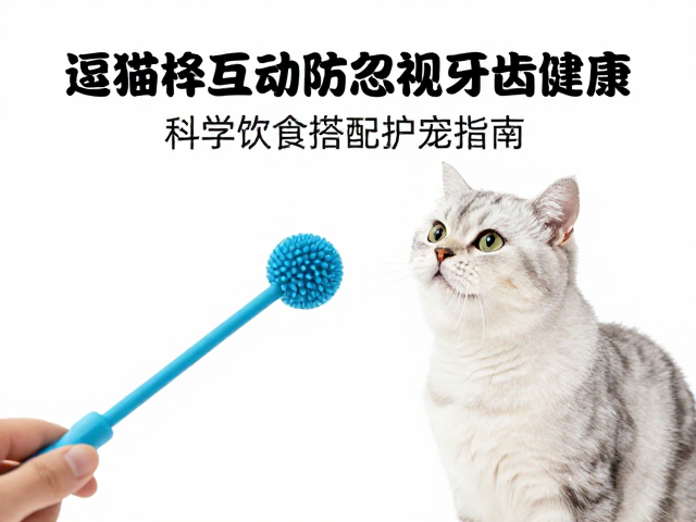 逗猫棒互动防忽视牙齿健康?科学饮食搭配护宠指南