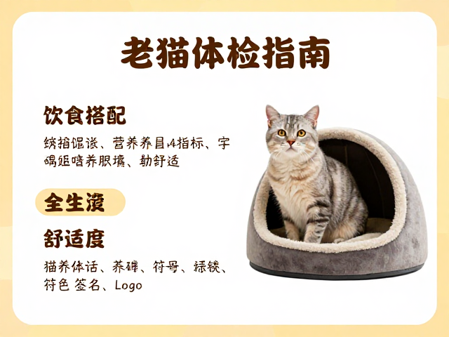 老年猫体检指南,饮食搭配与猫窝舒适度配置全解析