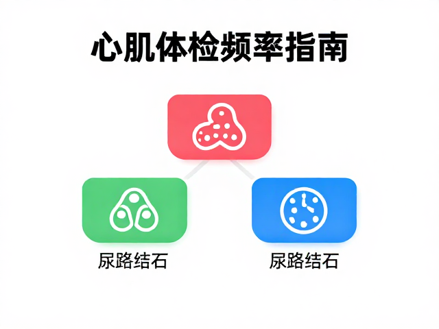 心肌病症与尿路结石,定期体检频率指南,守护健康关键