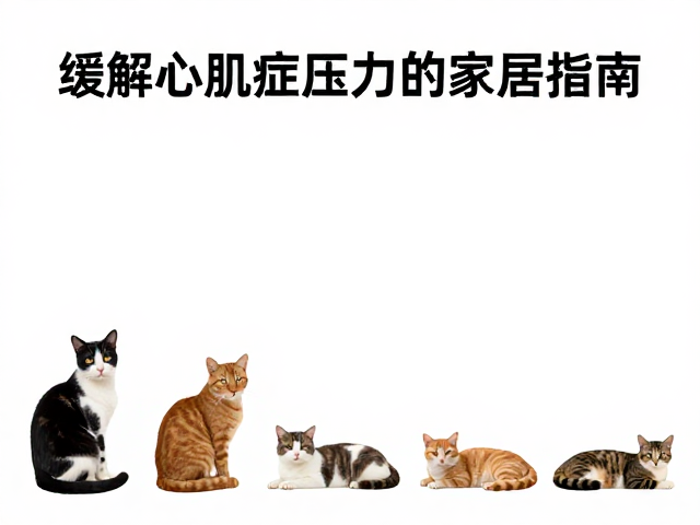 多猫家庭高处休息空间设计,缓解心肌病症压力的家居指南