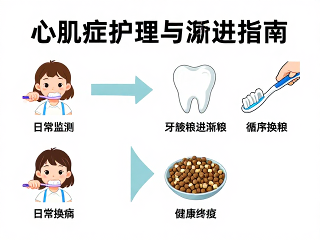 心肌病症护理，牙齿刷牙方法与换粮需循序渐进指南