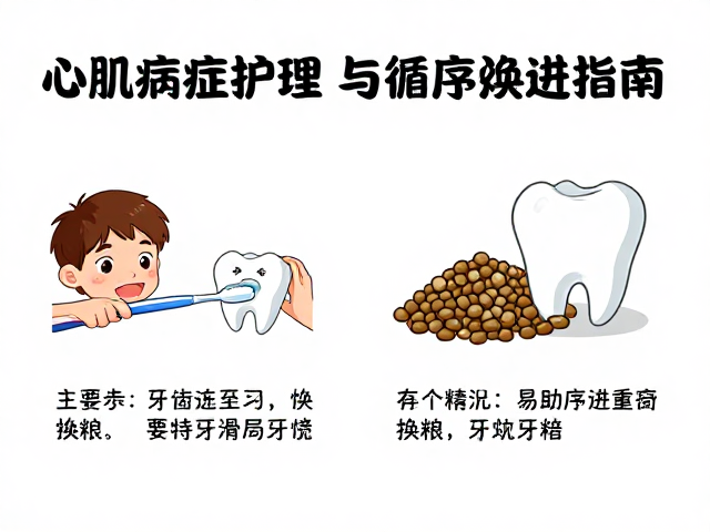 心肌病症护理，牙齿刷牙方法与换粮需循序渐进指南