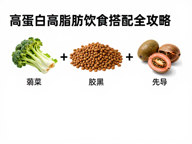 宠物湿粮干粮怎么搭?高蛋白高脂肪饮食搭配全攻略