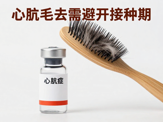 心肌病症与疫苗,梳毛去浮毛需避开接种期?
