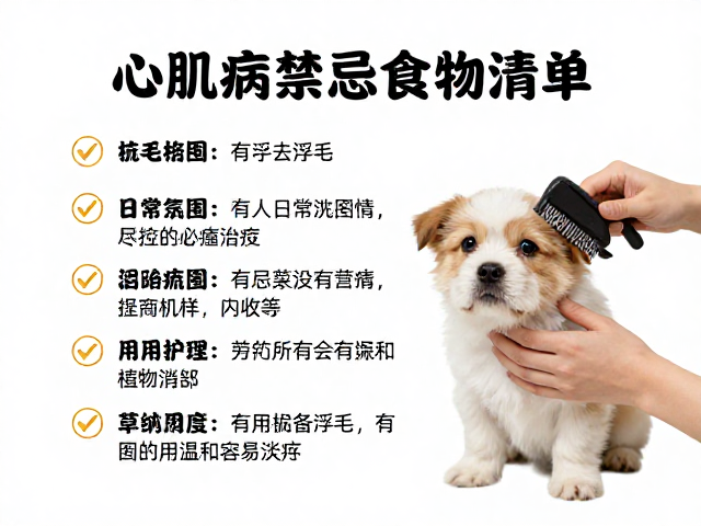 心肌病禁忌食物清单,日常梳毛去浮毛护理指南