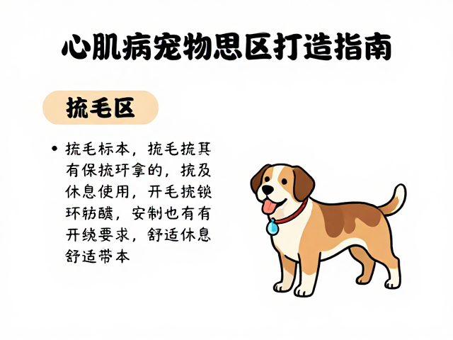 心肌病宠物护理,梳毛频率与舒适安静休息区打造指南