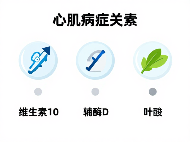心肌病症需补齐10种关键维生素与矿物质,守护心脏健康